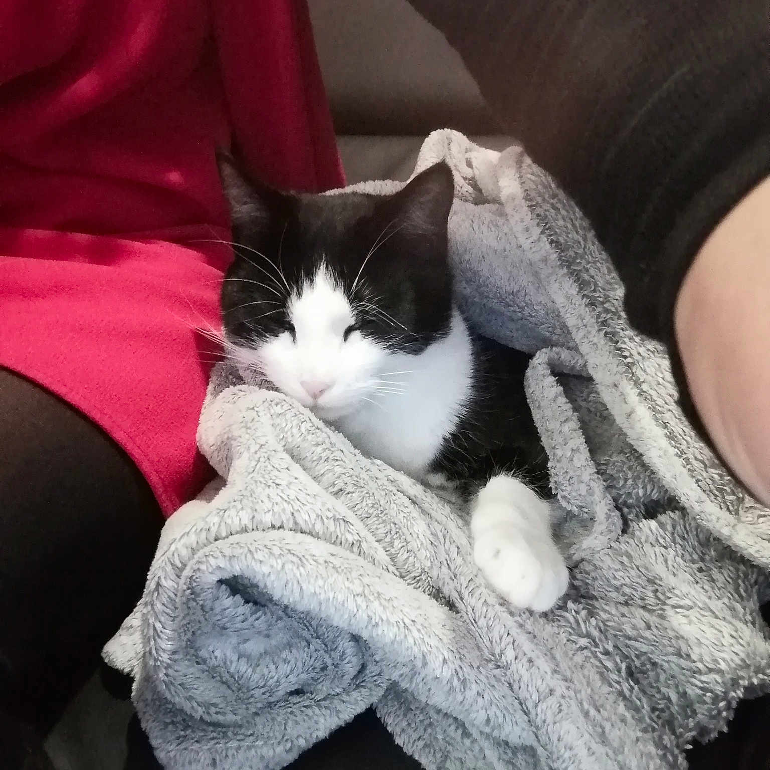 Nicotine participe au concours pour gagner de l'argent avec cette photo :