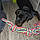 Tobby