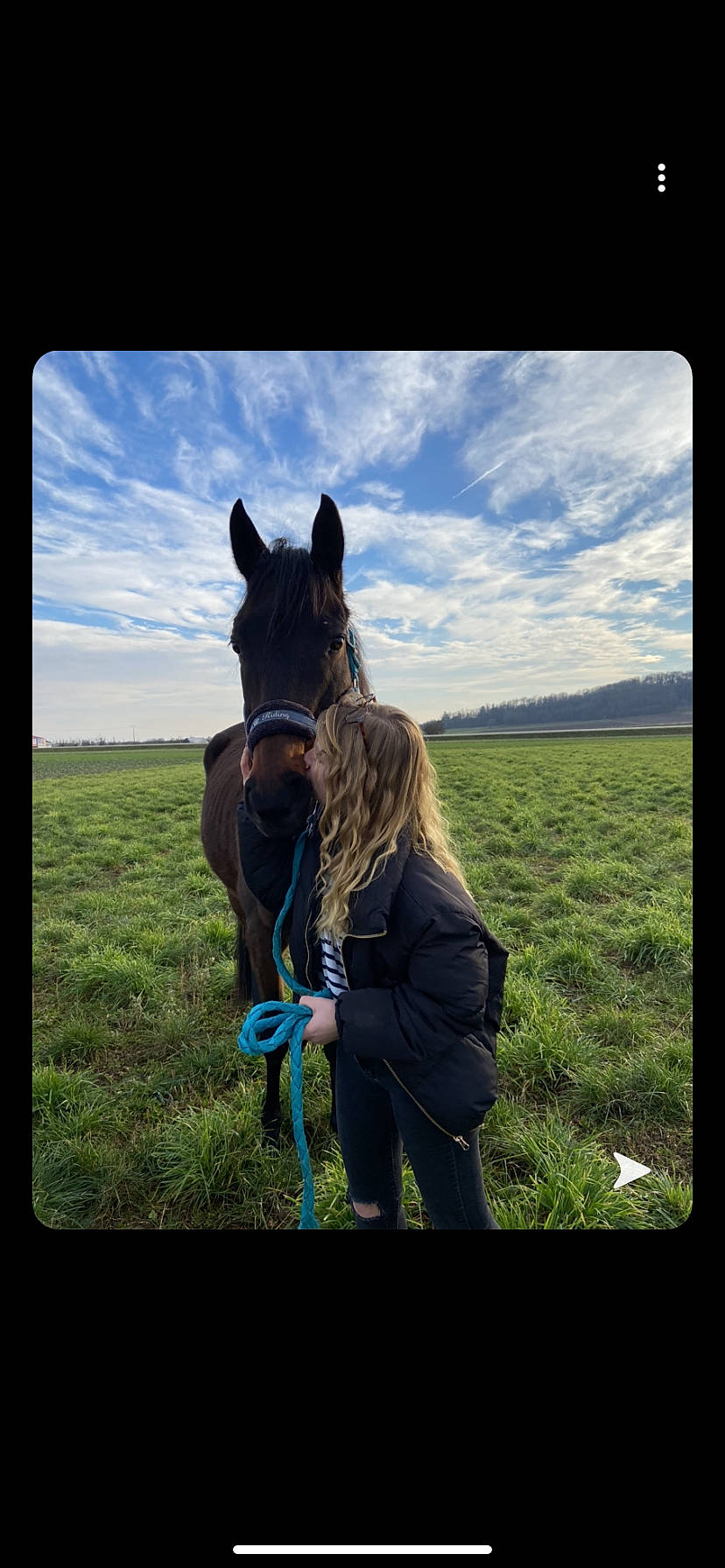 Desco a rejoint le concours — aidez-le/la à gagner de superbes lots ! bridle, grassland, horse, horse_tack, livestock, mammal, mane, mare, mustang_horse, pack_animal, pasture, photography, sky, stallion, stock_photography, vertebrate, wildlife