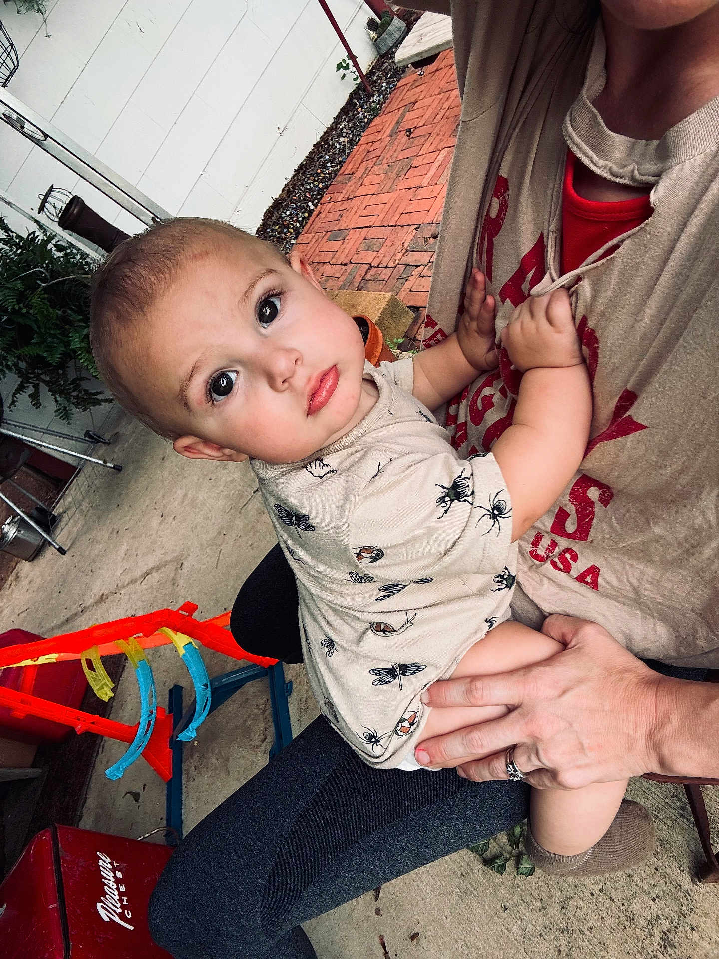 Elias joined the competition — help win amazing prizes! toddler, child, adult, person, outdoor, concrete, toy, play, shirt, insect_print, hand, holding, garden, plant, brick, floor, sitting, face, eyes, casual_clothing
