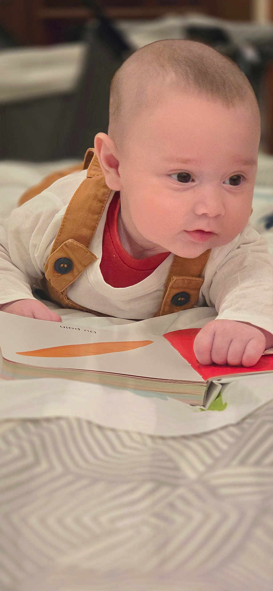 Brayan-Adam a rejoint le concours — aidez-le/la à gagner de superbes lots ! baby, bedroom, blanket, book, brown, child, closeup, cozy, curious, face, hand, indoor, infant, overalls, portrait, reading, soft_lighting, toddler, white_shirt, young_child