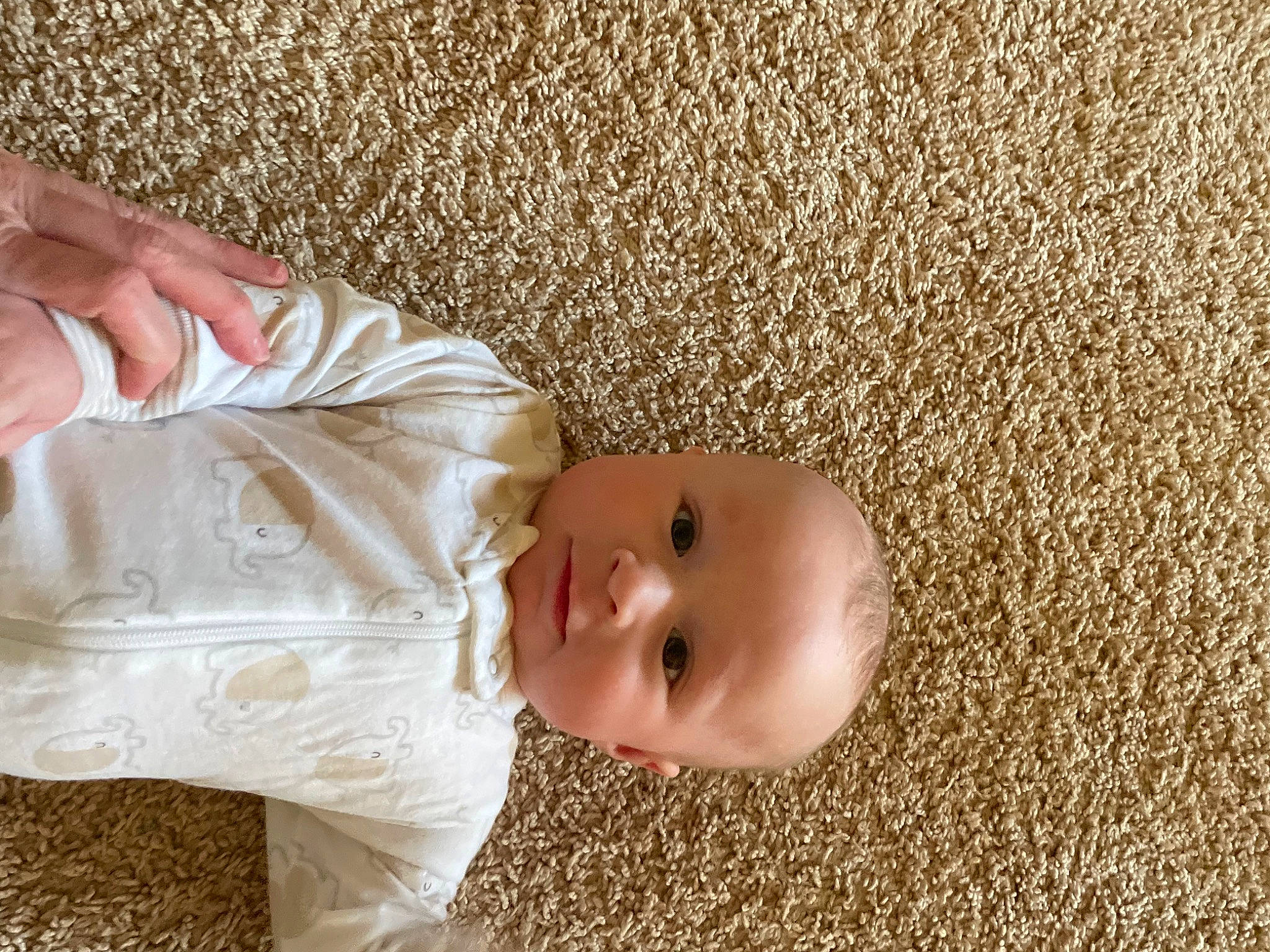 Casey joined the competition — help win amazing prizes! baby, baby_toddler_clothing, cheek, child, comfort, eye, finger, flooring, grass, happy, head, iris, nose, people_in_nature, person, sitting, skin, smile, thumb, toddler