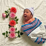 Julia joined the competition — help win amazing prizes! newborn, baby, infant, portrait, lying_down, swaddled, blanket, hat, flowers, roses, dahlias, greenery, pink, colorful, indoor, white_background, floral_arrangement, peaceful, cute, photography