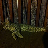Squishy is registered to the contest to win money with this photo: