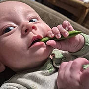 Lexi is registered to the contest to win money with this photo: baby, infant, close_up, face, hand, green_bean, eating, teething, mouth, eyes, onesie, clothing, indoor, couch, blanket, finger, curiosity, feeding, newborn, portrait