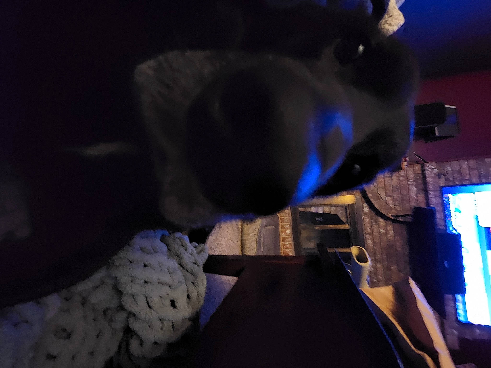 Charlie joined the competition — help win amazing prizes! audio_equipment, darkness, display_device, electric_blue, fun, machine, multimedia, personal_protective_equipment, room, sky, toy, tree