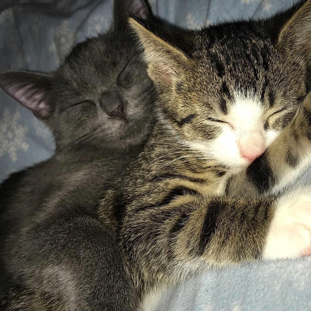 Ella And Angel