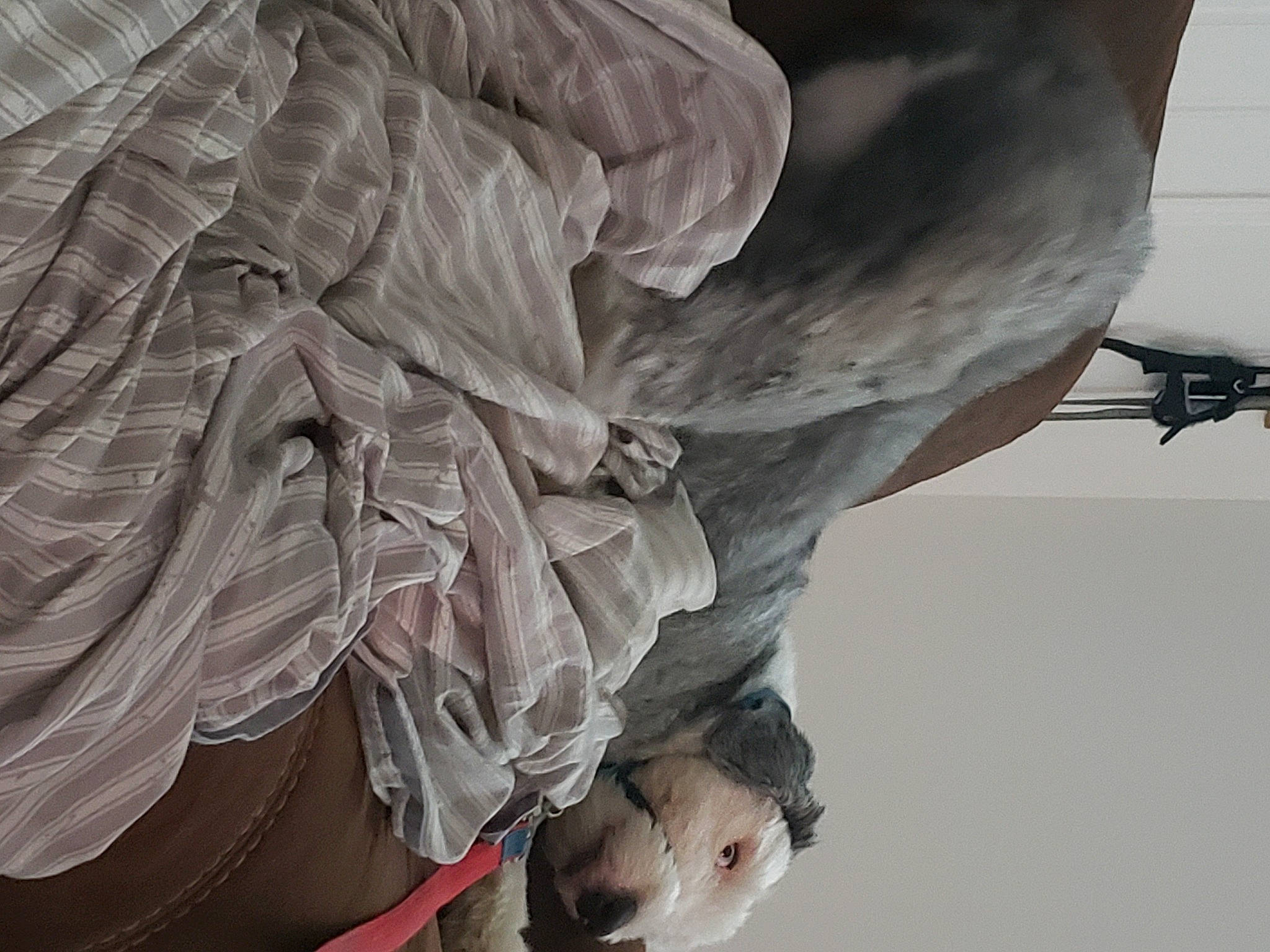 Teddy joined the competition — help win amazing prizes! adventure, angel, art, dragon, feather, fictional_character, freezing, grey, monochrome, monochrome_photography, monument, mythical_creature, recreation, sculpture, statue, wing, wood