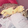 cat, tabby_cat, sleeping, lying_down, stuffed_animal, plush_toy, bed, blanket, pillow, bedroom, indoors, cozy, relaxed, pet, feline, brown, yellow, soft, cuddling, photography