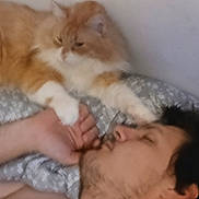 Curtis Jackson is registered to the contest to win money with this photo: cat, man, sleeping, bed, paw, orange_cat, white_cat, fluffy, hand, resting, indoor, cozy, companion, human, pet, animal, relaxation, blanket, pillow, gentle