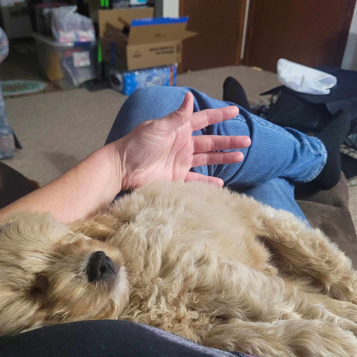 Peanut
