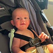 Grayson joined the competition — help win amazing prizes! baby, child, stroller, seatbelt, indoors, curious, smile, face, person, clothing, window, light, daylight, sitting, childcare, infant, safety, happy, cute, young