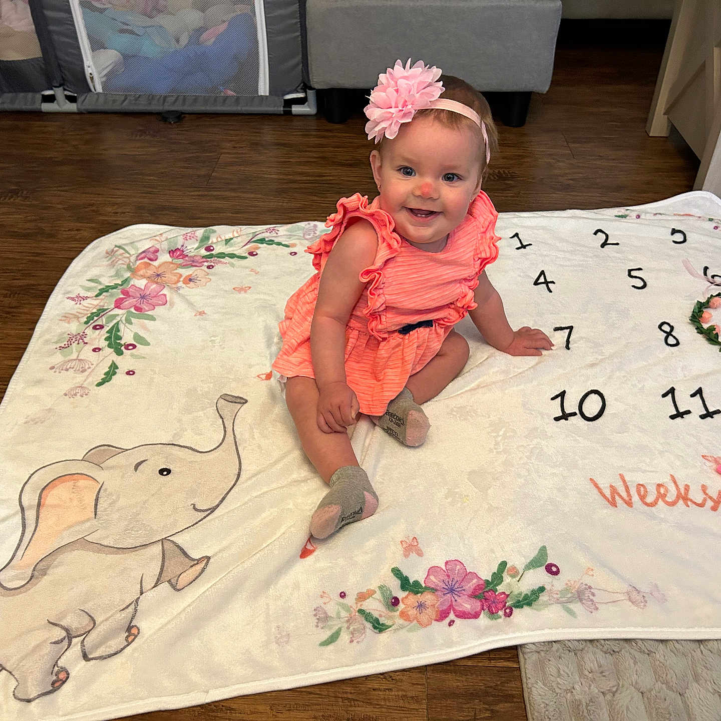 Chloe is registered to the contest to win money with this photo: animal, baby, bird, clothing, cushion, dress, face, furniture, hardwood, head, homedecor, hosiery, indoors, person, photography, portrait, sitting, sock, text, wood