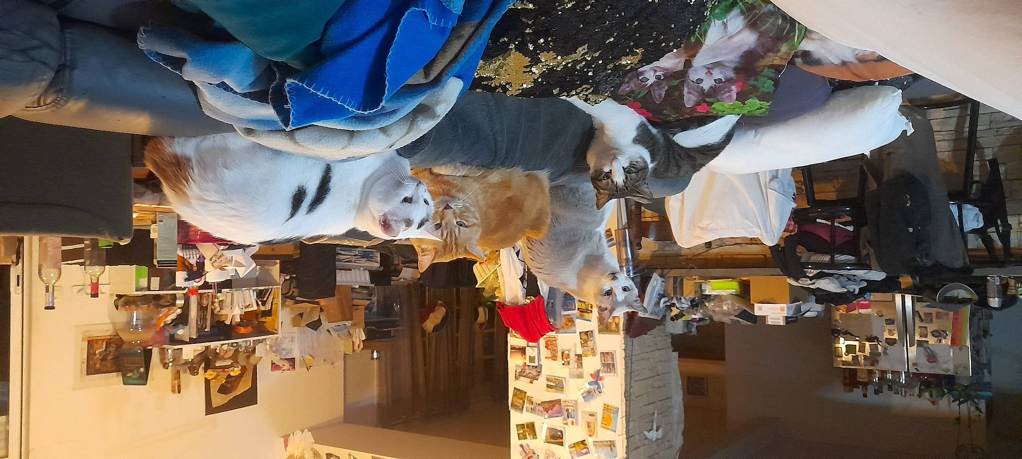 Lano participe au concours pour gagner de l'argent avec cette photo : city, engineering, event, eyewear, fun, hat, market, marketplace, retail, room, selling, tree, world