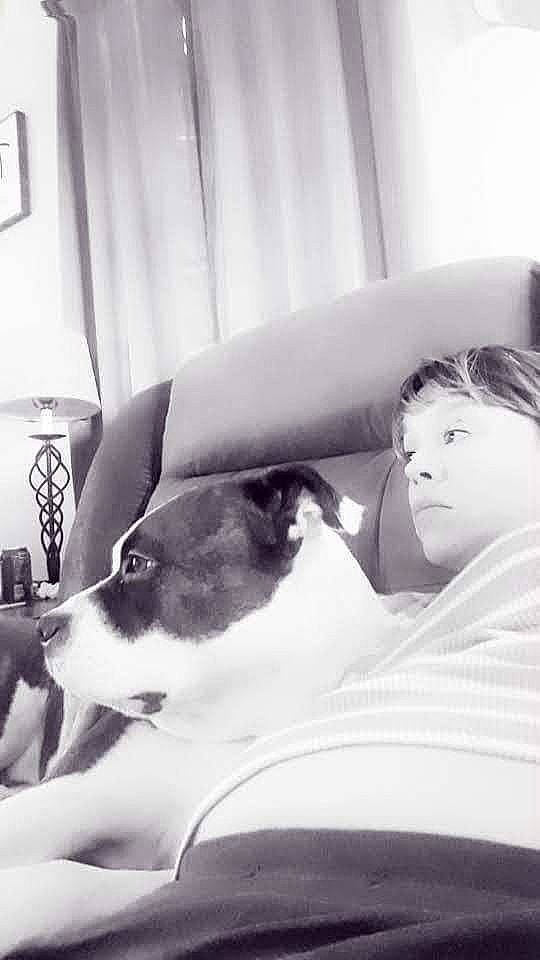 Pixie is registered to the contest to win money with this photo: black_and_white, carnivore, comfort, companion_dog, couch, dog, dog_breed, elbow, fur, happy, human_leg, knee, lap, leg, monochrome, monochrome_photography, room, sitting, style, thigh