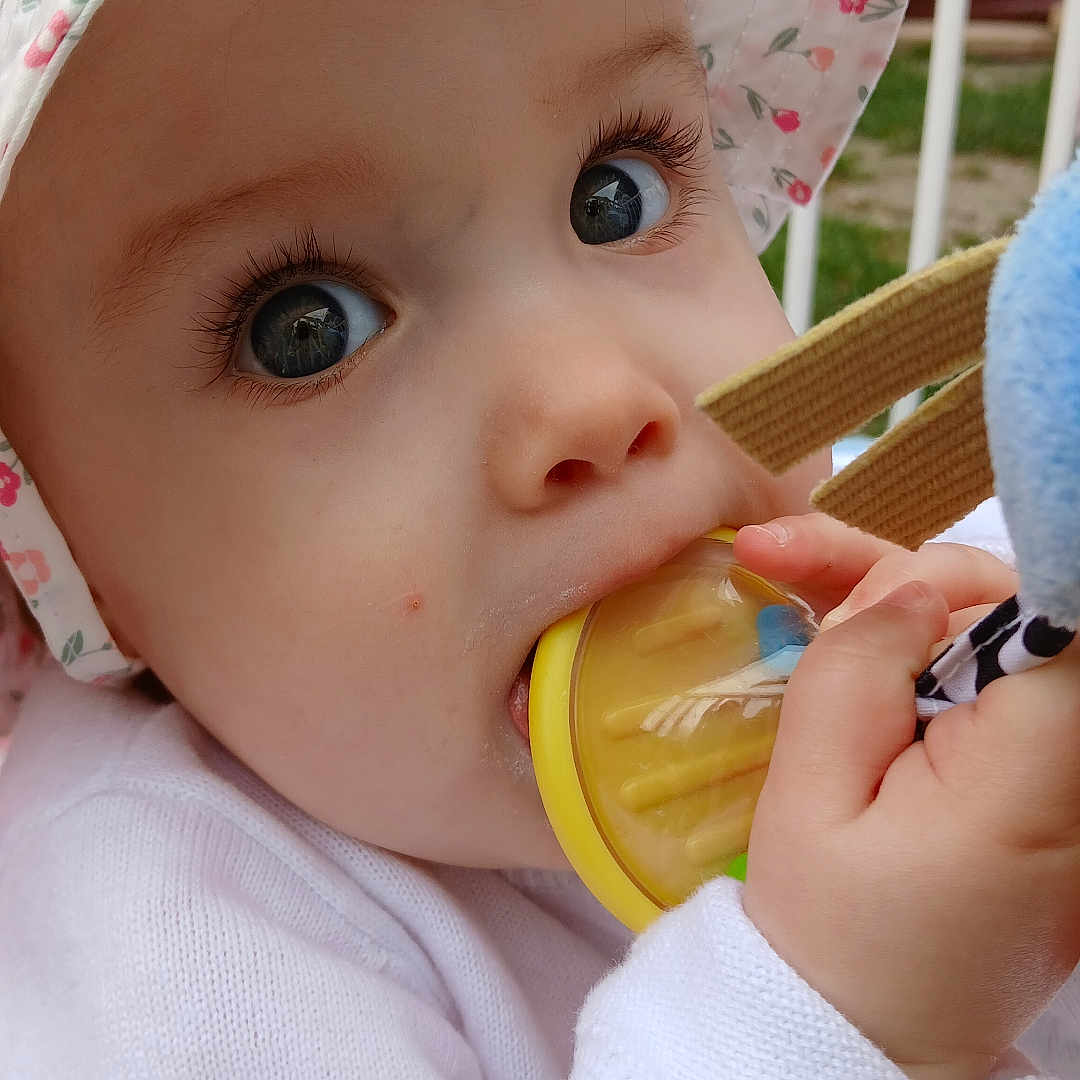 Adele Bertin a rejoint le concours — aidez-le/la à gagner de superbes lots ! baby, biting, bodypart, bonnet, cap, citrusfruit, clothing, eating, face, finger, food, hand, hat, head, hood, person, photography, portrait, sunhat, sweets