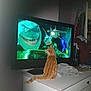 animated_characters, animation, books, cat, clothing, curious, dresser, entertainment, feline, fish, furniture, home, indoor, orange_tabby, pet, room, screen, sharks, television, watching