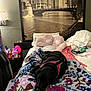 Sadie is registered to the contest to win money with this photo: bed, black_dog, blanket, chair, cityscape_photo, dog, floral_pattern, indoor, lamp, personal_items, pet_harness, pillow, pink_pet_bed, relaxing, resting, room, sleeping, table, urban, wall
