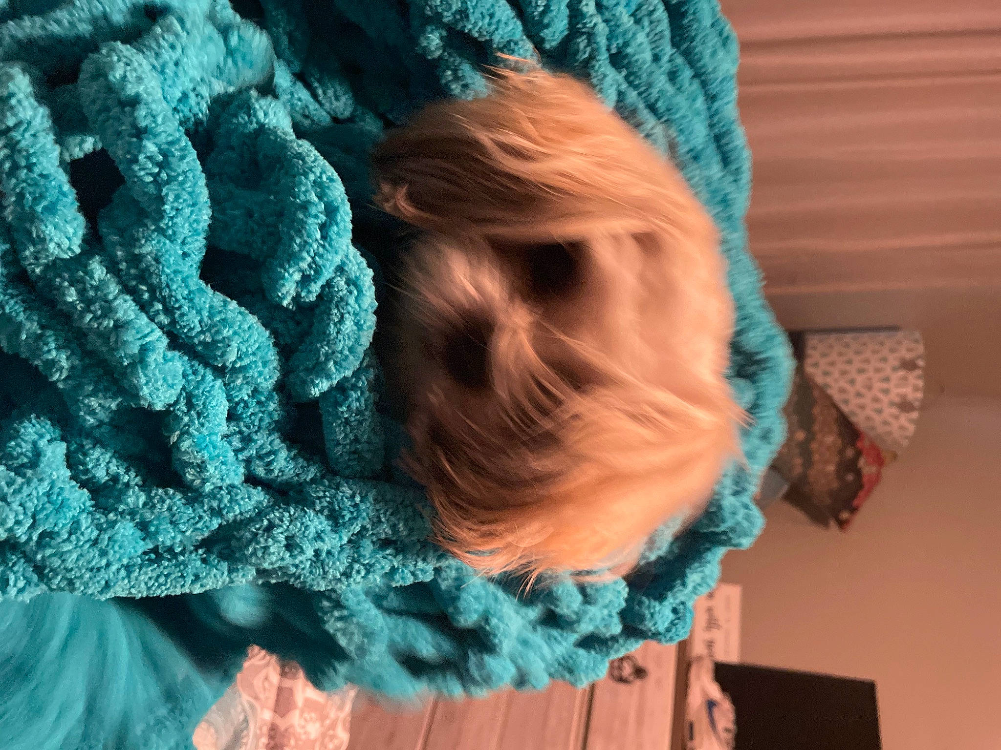 Skye is registered to the contest to win money with this photo: aqua, art, azure, blue, craft, creative_arts, electric_blue, fashion_accessory, green, grey, magenta, outerwear, pattern, purple, shawl, textile, thread, wool, woolen, woven_fabric