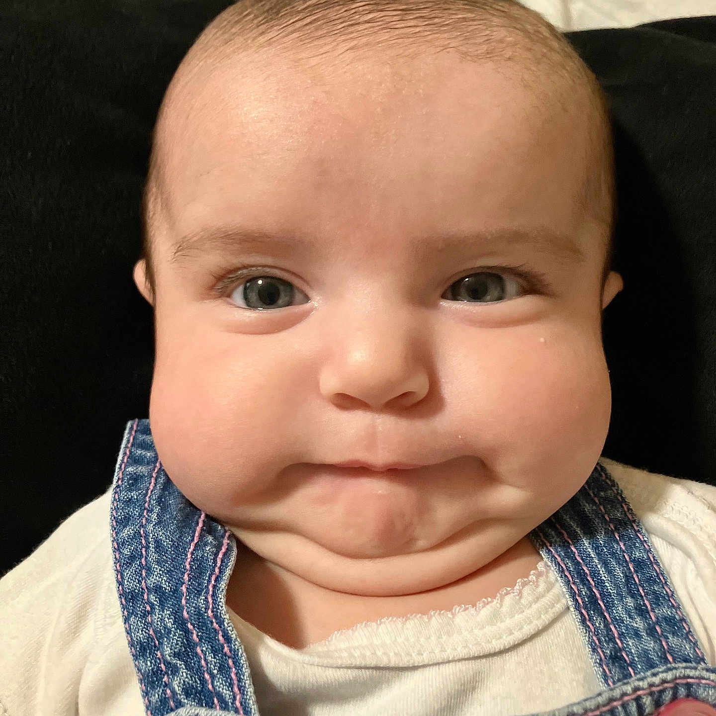 Scarlett joined the competition — help win amazing prizes! baby, baby_clothing, baby_fashion, child, chubby_cheeks, close_up, cute, denim_overalls, eyes, face, head, indoors, infant, newborn, person, pink_buttons, portrait, serious_expression, skin, white_shirt