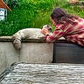 Silco participe au concours pour gagner de l'argent avec cette photo : animal, casual, cat, daylight, flowers, fur, garden, grass, greenery, leisure, long_hair, nature, outdoor, person, petting, plaid_shirt, relaxing, table, wall, wood