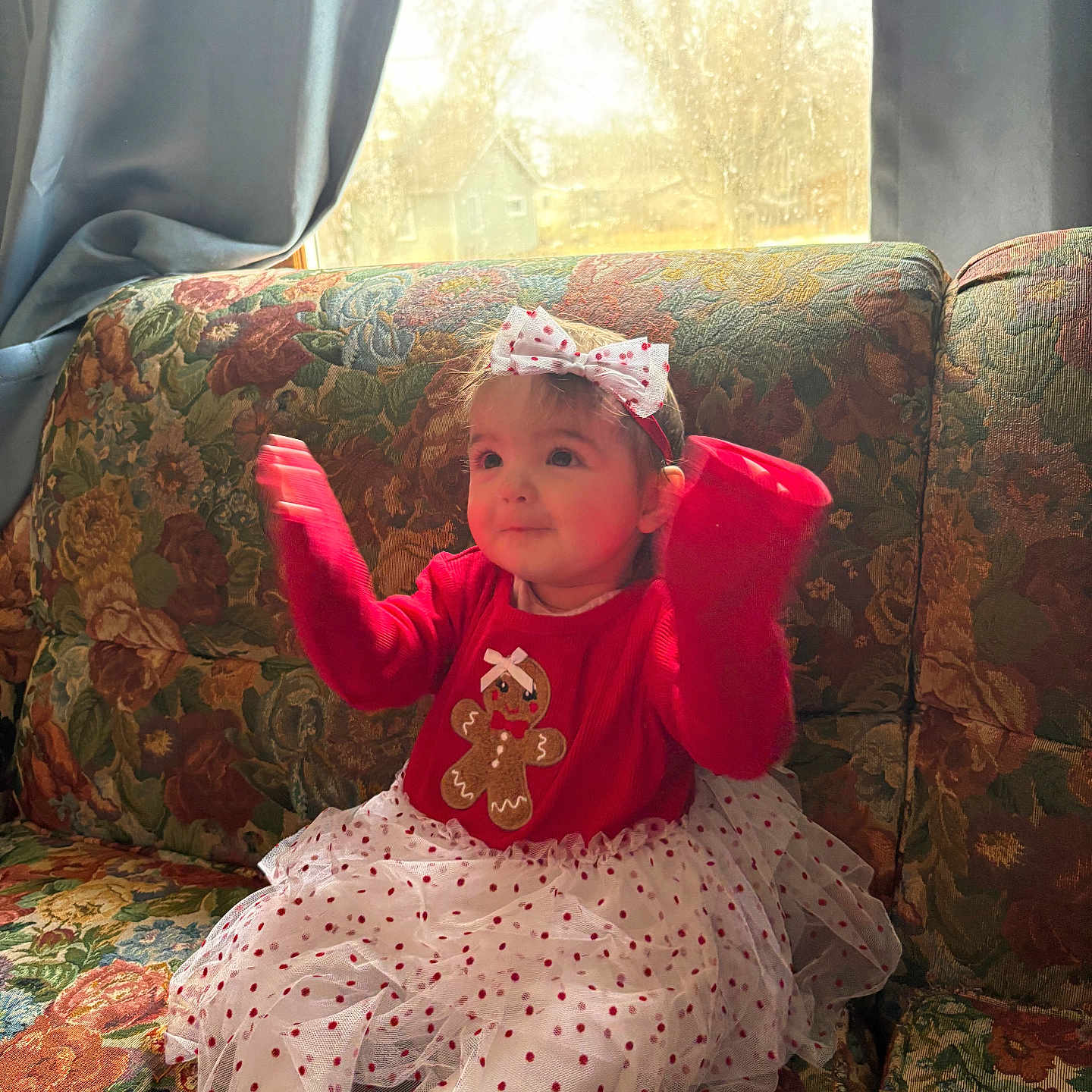 Jamboree Davis is registered to the contest to win money with this photo: bow, child, couch, cozy, cute, daylight, festive, floral_pattern, gingerbread_man, hands_up, happy, headband, indoor, polka_dots, red_sweater, sitting, smiling, toddler, white_tutu, window