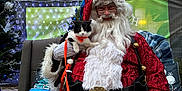 Chester joined the competition — help win amazing prizes! santa_claus, cat, chair, holiday, christmas, outdoor, tree, lights, leash, glasses, costume, beard, pillow, fabric, building, brick_wall, plaid_blanket, glove, festive, person