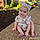 Amelia