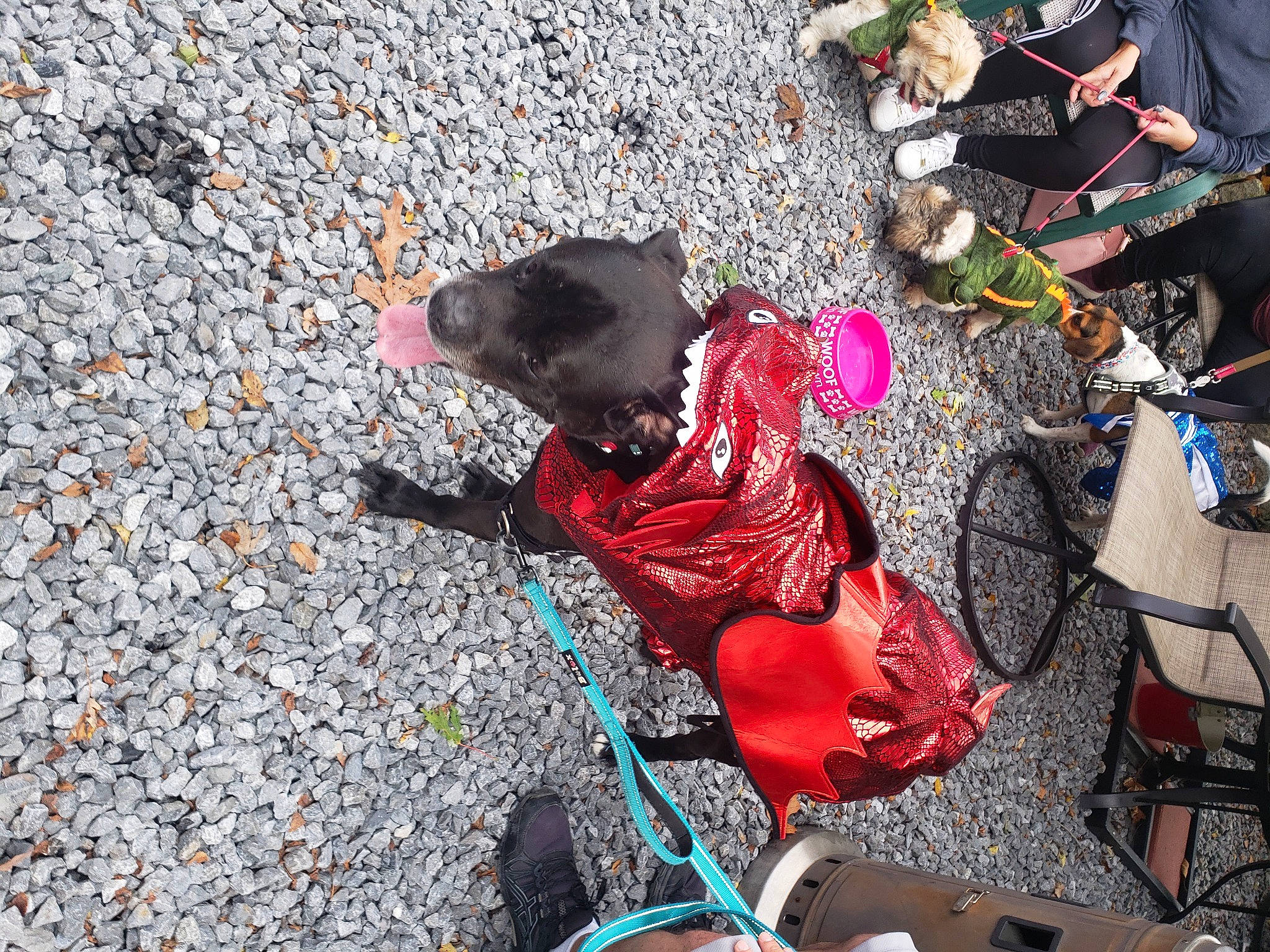 Damien joined the competition — help win amazing prizes! asphalt, baby_products, carmine, chair, child, city, fun, grass, leisure, magenta, personal_protective_equipment, plastic, recreation, road_surface, sandal, shadow, sidewalk, sitting, soil, toddler