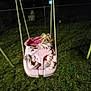 Bocki Ann joined the competition — help win amazing prizes! animal, baby_swing, blanket, cozy, curious, cute, dog, fence, grass, night, outdoor, park, pet, playground, resting, rope, small_dog, swing, toy, wrapped