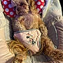 Bocki Ann is registered to the contest to win money with this photo: animal, baby_seat, comfort, cushion, cute, diaper, dog, fluffy, fur, indoor, minnie_mouse, pet, pink, polka_dots, puppy, relaxed, resting, small_dog, soft, toy