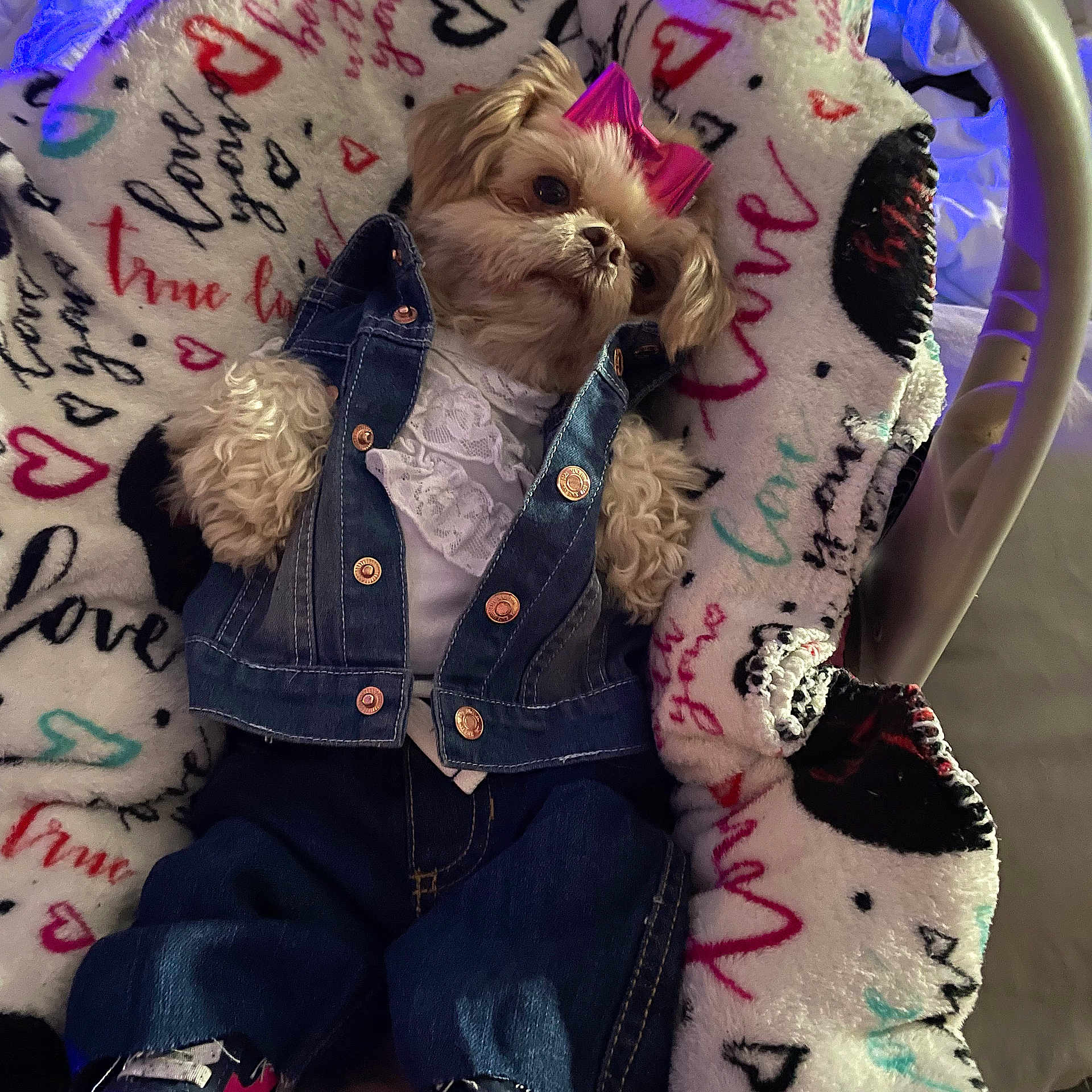 Bocki Ann joined the competition — help win amazing prizes! bag, carmine, denim, fashion_accessory, font, foot, fur, gesture, human_leg, pattern, shoe, sleeve, thigh, visual_arts