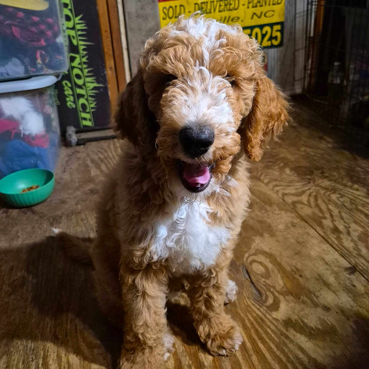 Butters