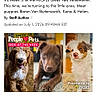 account_icon, advertisement, article, author_text, banner, date_text, dog, explore_icon, feed_icon, games_icon, halo_collar, home_icon, mobile_app, navigation_bar, photo_collage, pink_color, puppies, screenshot, text, title_text