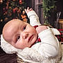 baby, infant, basket, christmas, holiday, decorations, plaid, red, white, soft, fluffy, face, eyes, cute, child, indoors, festive, cozy, portrait, warm