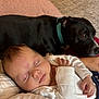 baby, sleeping, infant, dog, black_dog, pet, collar, white_clothing, hand, face, closeup, resting, cozy, indoor, carpet, blanket, wood_floor, person, cuddle, calm