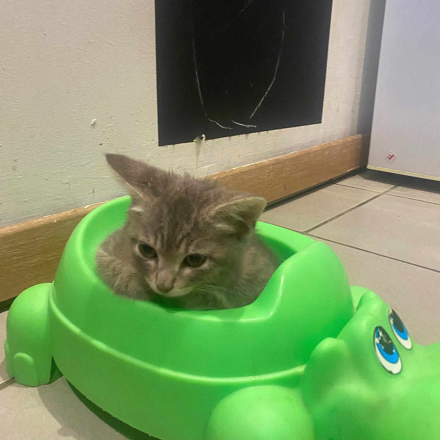 Tina