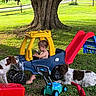Declan joined the competition — help win amazing prizes! child, toddler, outdoor, backyard, toy_car, jeep, slide, dogs, pets, playing, snack, shirtless, tree, grass, fence, sunny, playground, tricycle, toy_truck, family_scene