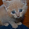 Kanelle participe au concours pour gagner de l'argent avec cette photo :