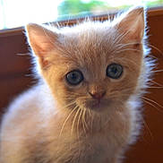Kanelle participe au concours pour gagner de l'argent avec cette photo :