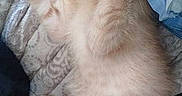 Kanelle participe au concours pour gagner de l'argent avec cette photo :