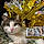 Scrappy