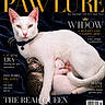 cat, kitten, white_cat, tabby_kitten, sleeping_kittens, mother_cat, velvet_background, magazine_cover, text_overlay, elegance, pose, collar, pink_nose, green_eyes, feline, love, motherhood, resting, close_up, animal