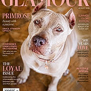 Primrose joined the competition — help win amazing prizes! dog, pitbull, pet, collar, portrait, close_up, animal, brown_background, looking_up, fur, ears, eyes, snout, whiskers, magazine_cover, text_overlay, loyalty, beauty, summer_glow, chic