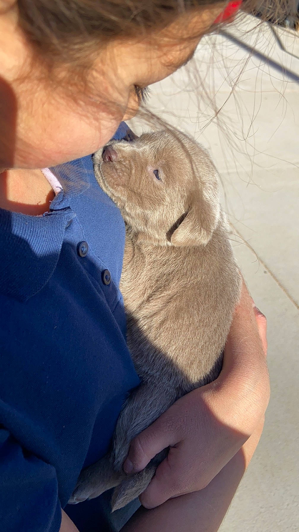 Nyra is registered to the contest to win money with this photo: carnivore, comfort, companion_dog, dog, dog_breed, ear, electric_blue, felidae, finger, fish, fur, gesture, hand, nail, skin, small_to_medium_sized_cats, tail, thumb, whiskers, wrinkle