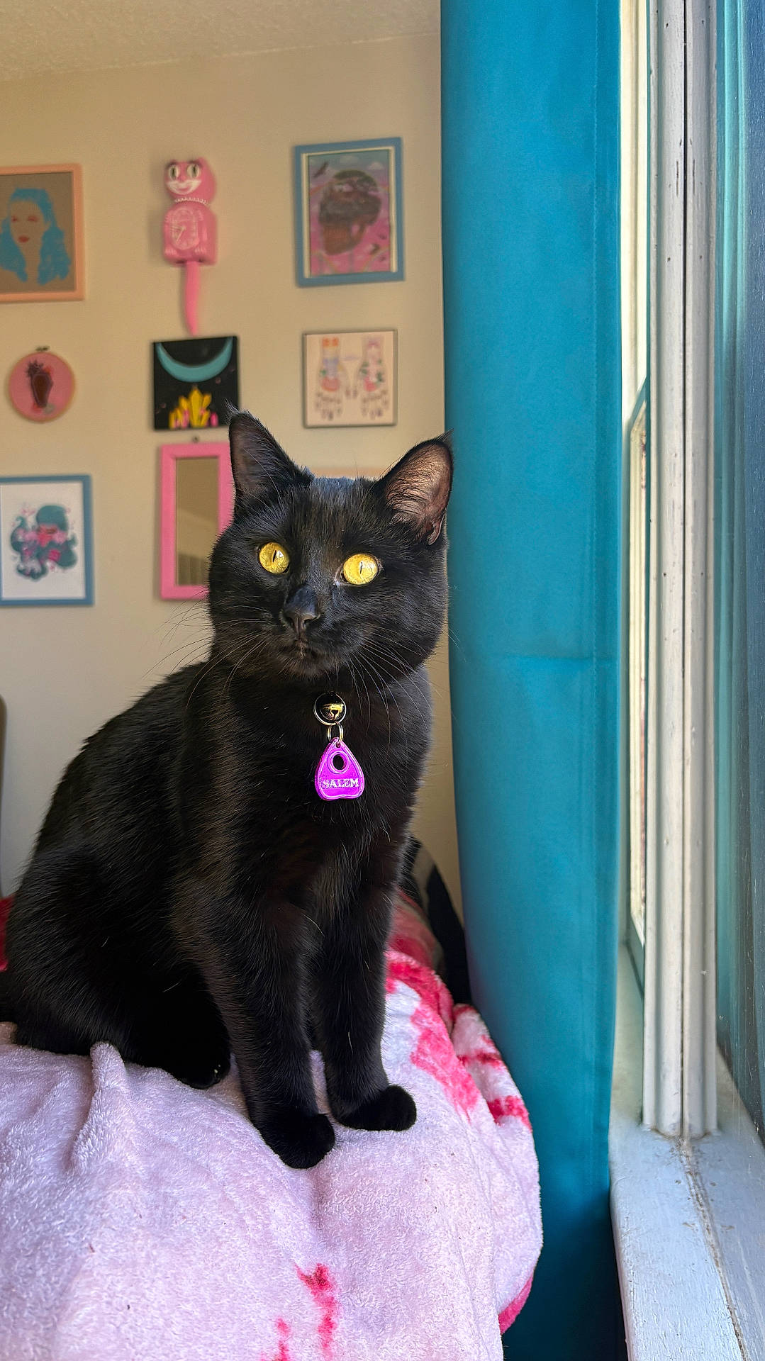 Salem Lynae