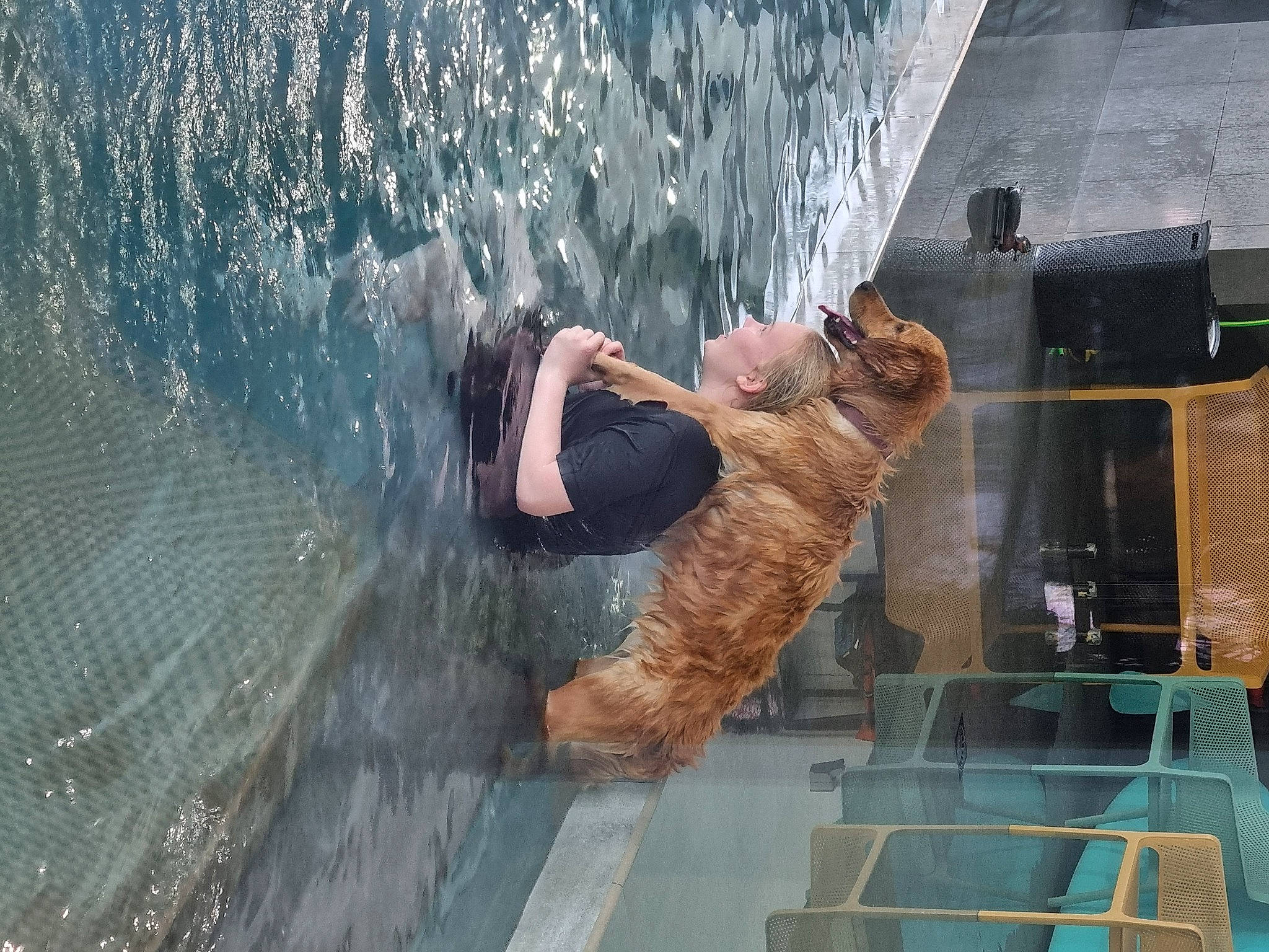 Valka a rejoint le concours — aidez-le/la à gagner de superbes lots ! dog, fish, fisherman, fishing, fun, leisure, ocean, recreation, tail, water, wave, wind_wave