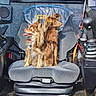 alert, cabin, companion, control, dog, fur, greenery, happy, interior, joystick, pet, plastic_wrap, seat, seat_cover, small_dog, sunlight, tongue_out, two_animals, vehicle, window