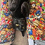 animal, black_cat, bright_colors, cartoon_pants, cat, closeup, colorful_clothing, cozy, fur, indoor, legs, patterned_fabric, paws, pet, playful, relaxed, sitting, super_mario, whiskers, yellow_eyes