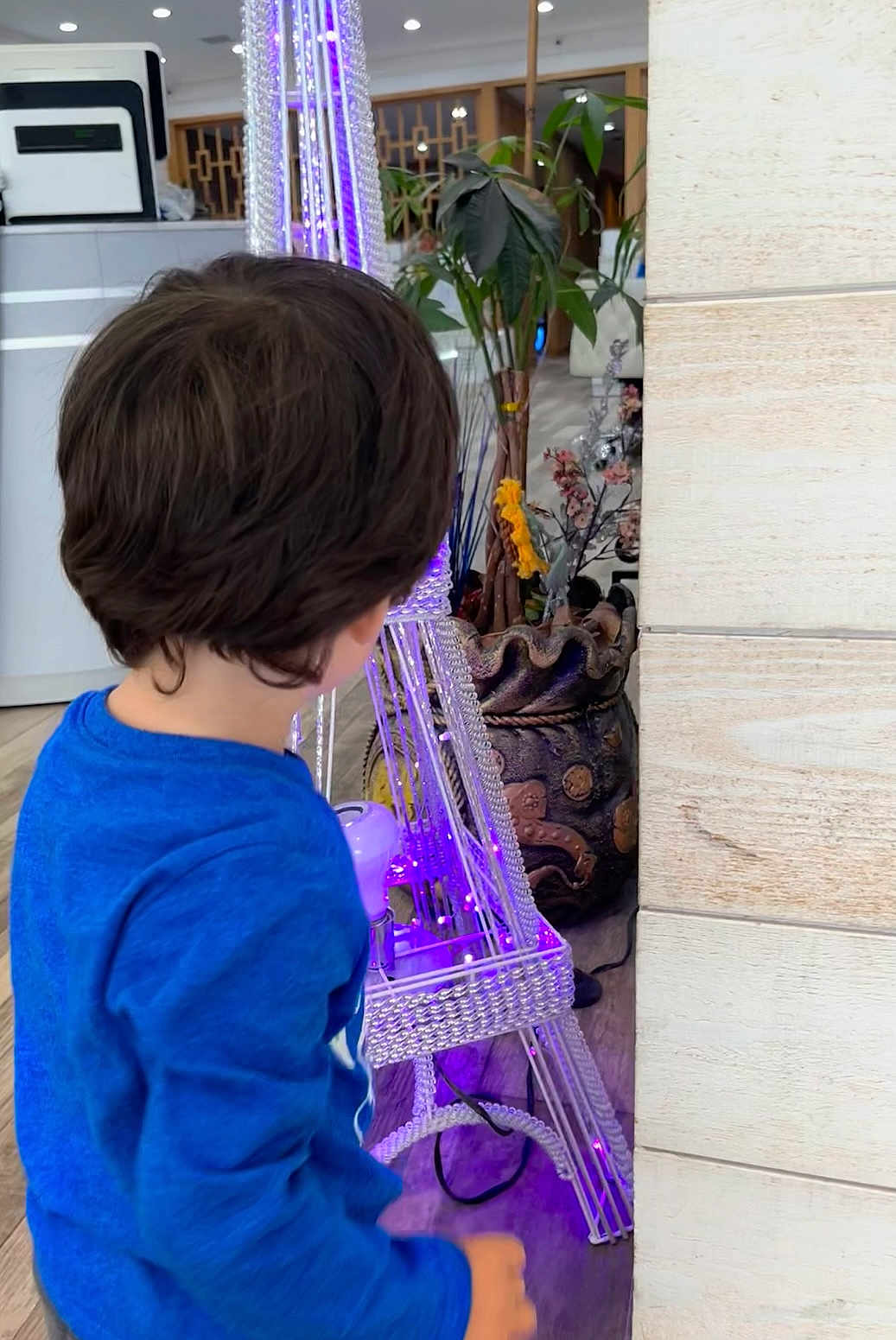Cameron is registered to the contest to win money with this photo: child, blue_shirt, indoor, decorative_lights, plant, stone_wall, curious, short_hair, floor, electric_cord, purple_light, young_child, back_view, casual_clothing, wooden_floor, home_decor, ornament, person, standing, daylight